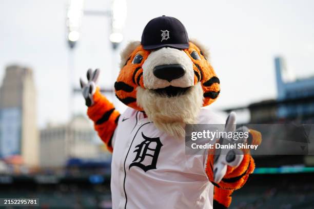 Detroit Tigers Image 4